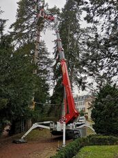τηλεσκοπικού ανυψωτήρα Palazzani XTJ 43 προς πώληση τηλεσκοπικός ανυψωτήρας Palazzani XTJ 43